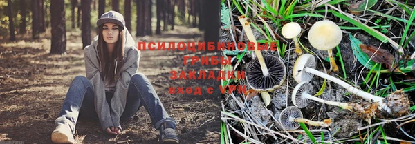 мяу мяу кристалл Алзамай