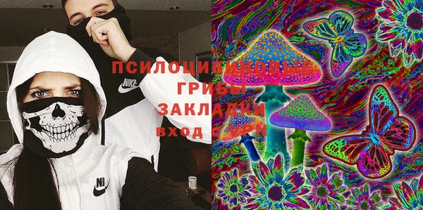 сатива Алексеевка