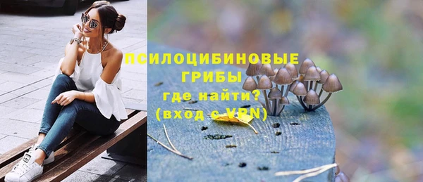 сатива Алексеевка